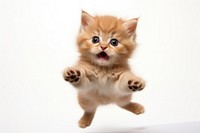 Cat jumping mammal animal kitten. AI generated Image by rawpixel.