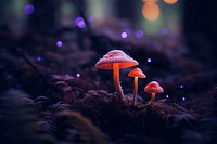 Mushrooms fungus forest plant. AI generated Image by rawpixel.