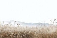 Winter meadow border landscape outdoors nature. AI generated Image by rawpixel.