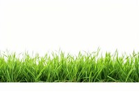 Grass meadow border backgrounds outdoors nature. AI generated Image by rawpixel.