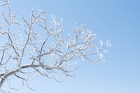 Tree Snow snow sky. AI generated Image by rawpixel.