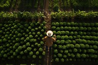 Farmer on field, aerial view. AI generated Image by rawpixel.