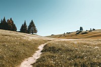 Meadow trail wilderness landscape grassland. AI generated Image by rawpixel.
