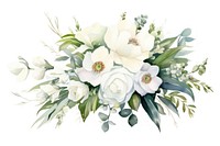 A white flower bouquet plant rose white background. 