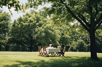 Park furniture outdoors woodland. 