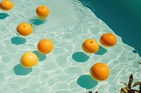 Pool party summer plant fruit. 