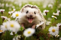 Cute hedgehog outdoors flower animal. 