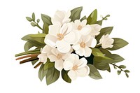 A white flower bouquet ribbon plant white background. 