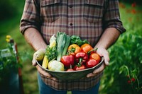 Vegetable plant adult food. 