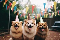 Outdoors mammal animal party. AI generated Image by rawpixel.