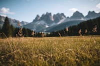 Dolomites italy sky landscape grassland. 