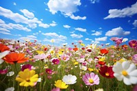 Spring flower field sky. AI generated Image by rawpixel.