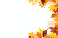 Autumn Leaves leaves leaf backgrounds.