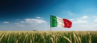 Italian flag on wheat field blue sky agriculture.