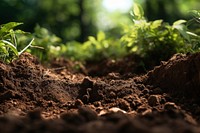 Soil gardening outdoors nature. 