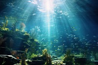 Underwater sunlight outdoors swimming. AI generated Image by rawpixel.