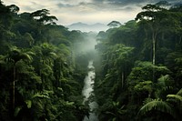 Amazon forrest vegetation landscape outdoors. AI generated Image by rawpixel.