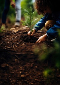 Planting gardening outdoors nature. 