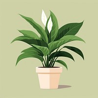 Peace Lily plant green leaf. AI generated Image by rawpixel.