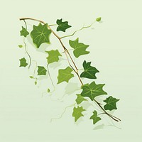 English Ivy ivy plant leaf. AI generated Image by rawpixel.