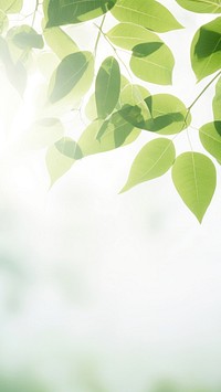 Leaves and sunlight background. AI generated Image by rawpixel.