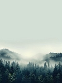 Forest mist backgrounds outdoors. AI generated Image by rawpixel.