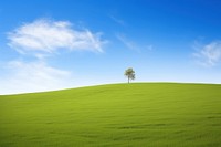 Green hill border tree sky grassland. 