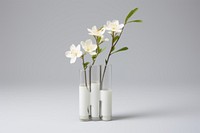 Flower vase plant white centrepiece. 