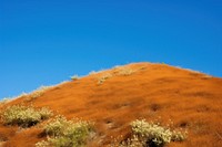 Orange hill with wildflowers under a clear blue sky. The hill is covered in orange vegetation and wildflowers, creating a vibrant landscape against the sky.