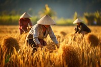 Harvest farm harvesting outdoors. AI generated Image by rawpixel.