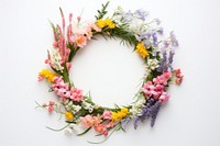 Flower wreath plant white background inflorescence. 