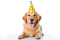 Dog celebrating birthday mammal animal. AI generated Image by rawpixel.