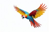 Parrot parrot animal flying. AI generated Image by rawpixel.