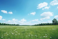 Meadow grassland landscape outdoors. 