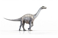 Dinosaur reptile animal white background. AI generated Image by rawpixel.