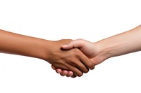 Greeting hand handshake white background. AI generated Image by rawpixel.
