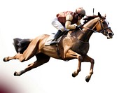 Horse racing jockey recreation mammal animal. AI generated Image by rawpixel.