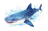 Whale shark cute animal fish white background. 