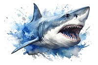 Shark animal fish aggression. AI generated Image by rawpixel.