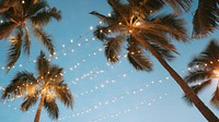 a photo of worm eye view of a palm trees during the Vanila sky with outdoor string lights. AI generated Image by rawpixel.