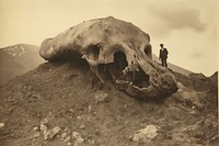 Giant skull mountain animal architecture. AI generated Image by rawpixel.