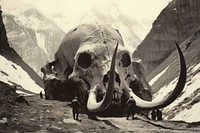 Giant skull mountain mammal monochrome. AI generated Image by rawpixel.