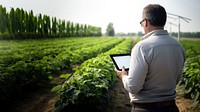 close up back view photo of a man using tablet displaying scientific data. AI generated Image by rawpixel.