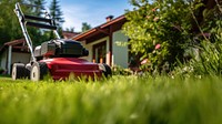 Photo an Tending to Lawn. 