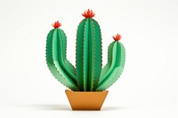 Cactus plant white background houseplant. 