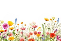 Summer border backgrounds outdoors blossom. 