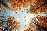 Sky dry autumn landscape sunlight outdoors. AI generated Image by rawpixel.