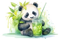 Cute panda grap drinking water mammal bear refreshment. 