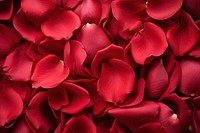 Red rose petals flower plant inflorescence. AI generated Image by rawpixel.