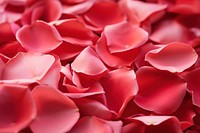 Petal rose flower plant. AI generated Image by rawpixel.